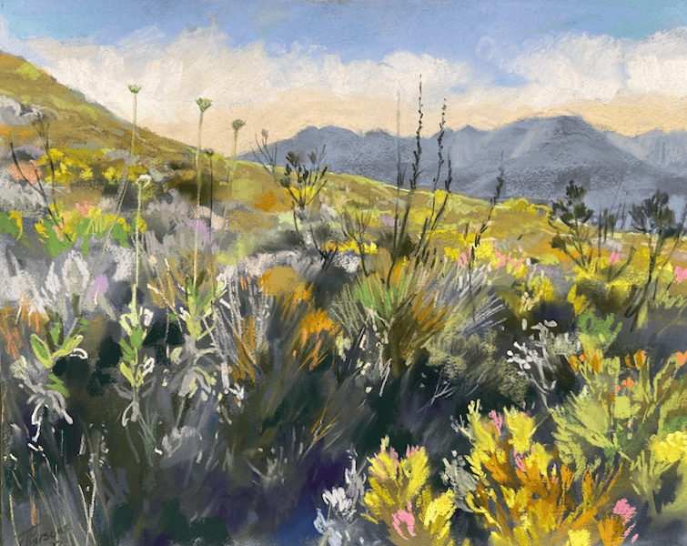 Hillside Gully by Jenny Parsons